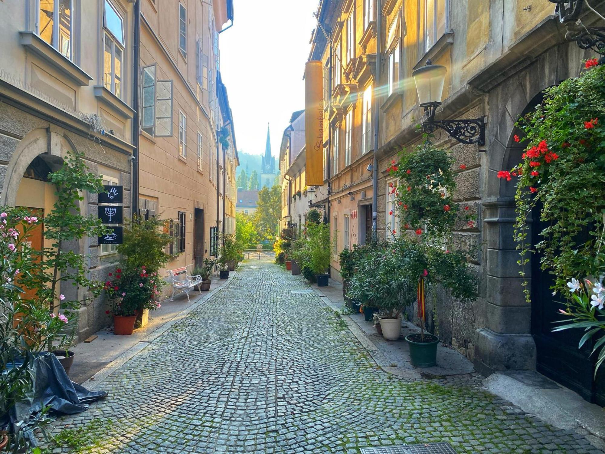 1Br Apartment On The Most Beautiful Street In Ljubljana Center 외부 사진